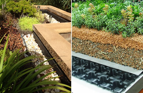 greenroof drainage