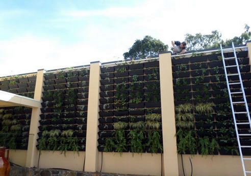 modular green wall system