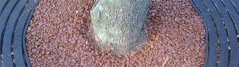 porous paving tree surround