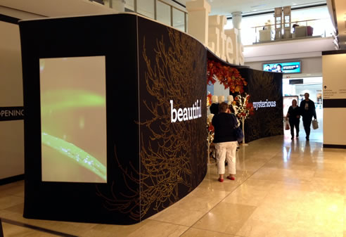 promotional pop up signage