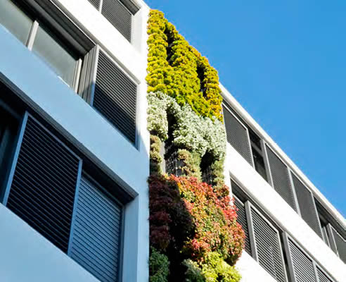 green wall apartment facade
