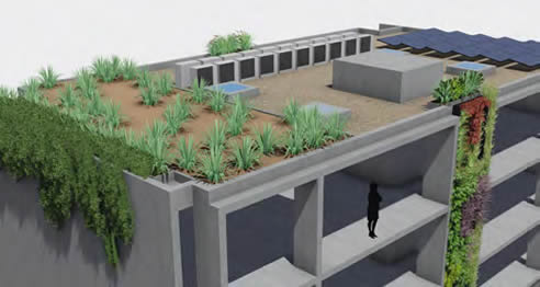 vertical and roof top garden concept