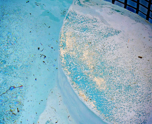 worn pool paint