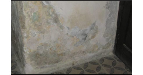 rising damp
