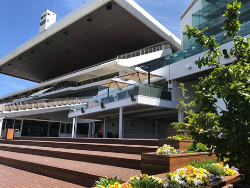 Flemington Racecourse Shade Umbrellas