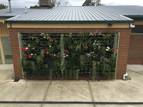 School Green Wall