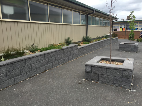 water garden for stormwater