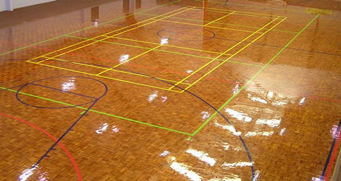 rejuvenated sports floor