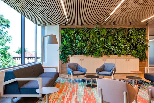 acoustic ceiling with green wall