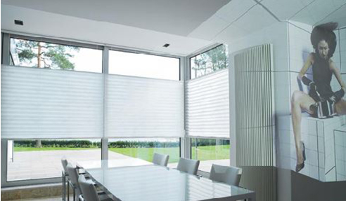 XL50 Custom Pleated Blinds from Blinds by Peter Meyer