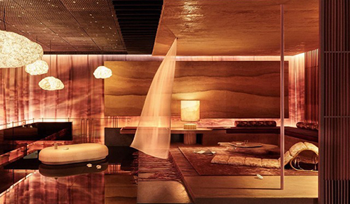 Rigg Design Prize for Interior Design Now Own with Axolotl
