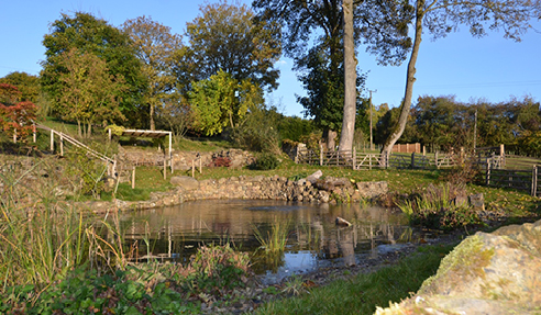 Natural Pool Installation Filtration Solutions