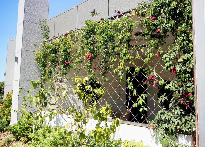 Beautiful Green Walls with Security from Miami Stainless