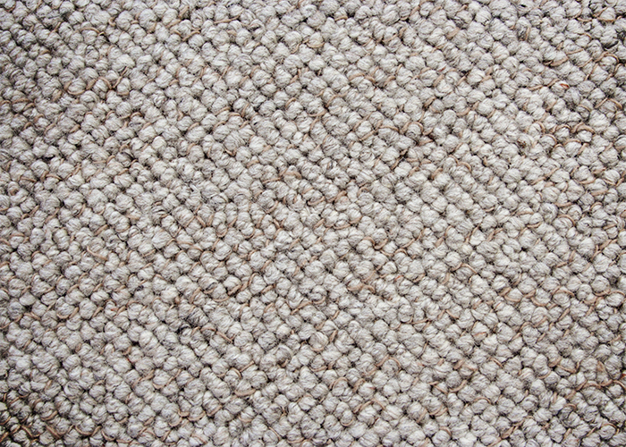 Textured Loop Pile Carpet - New Scribbles by Prestige Carpets