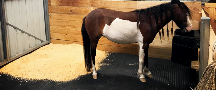 Cushioned Horse Stable Flooring from Sherwood Enterprises