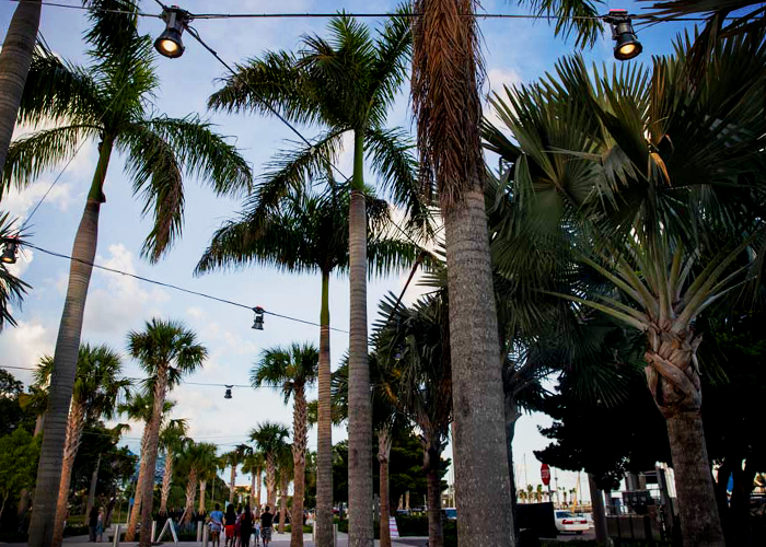 Catenary Lighting for St Pete Pier by Ronstan