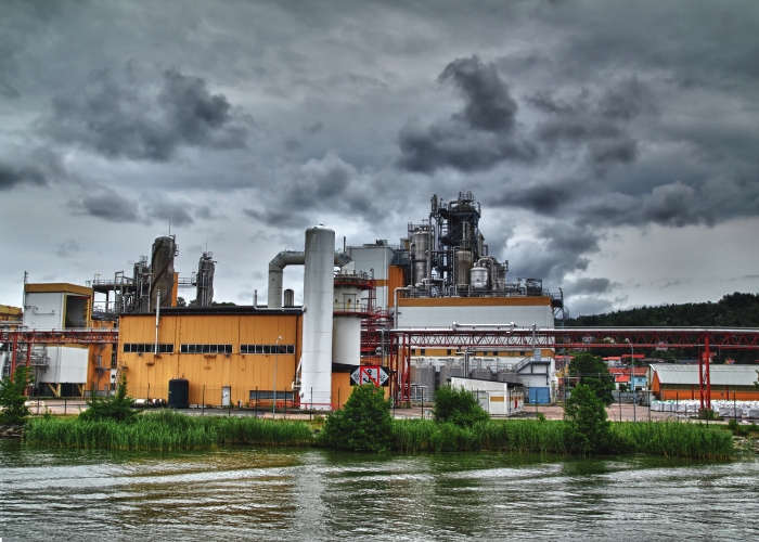 Rockwool Partition Batts for Soundproofing by Bellis