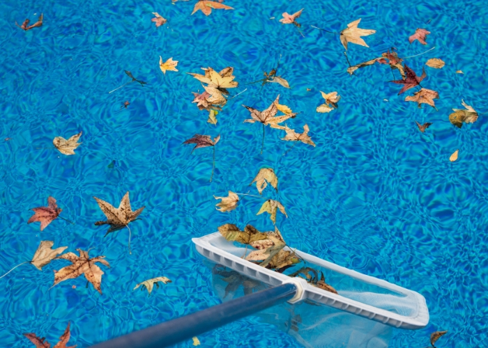 Leaf Trapper for Swimming Pools by Waterco