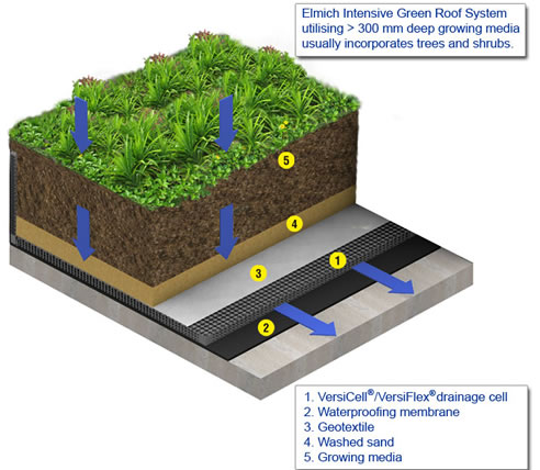 green roof system cross section diagram