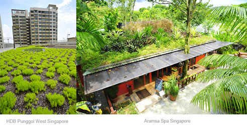 green roofs