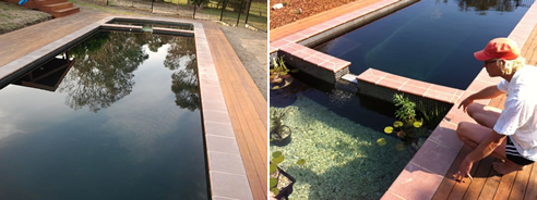 natural pools coatings