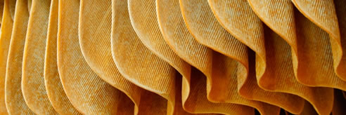rubber flooring in manufacturing process