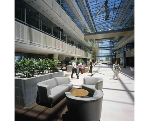 decor systems acoustics in large space