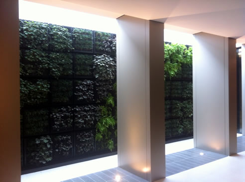 green wall