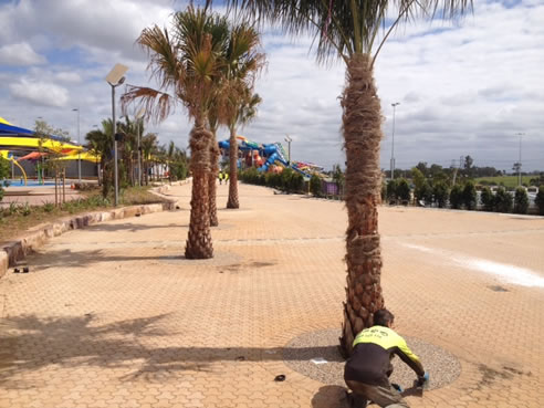 porous paving at wet n wild sydney