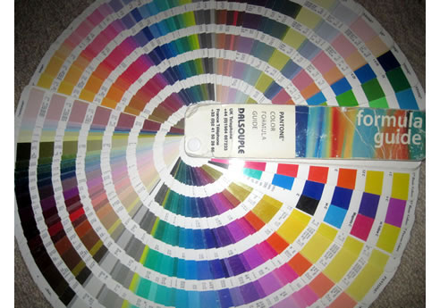 dalsouple pantone colours