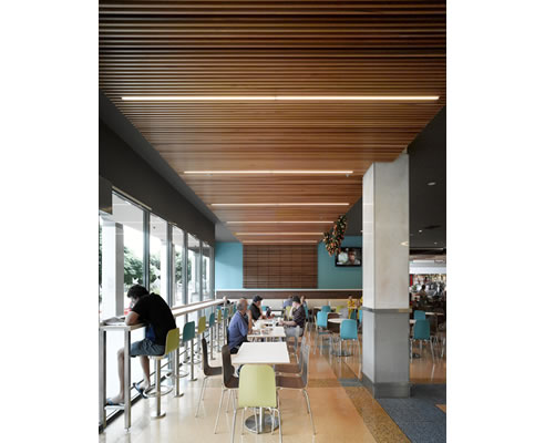 slat panel western red cedar ceiling