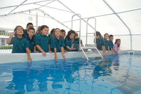 portable pool school children