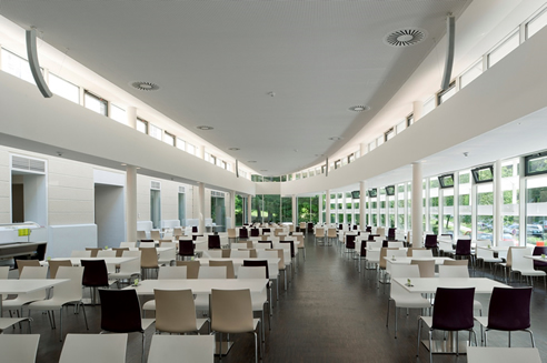acoustic seamless plaster ceiling