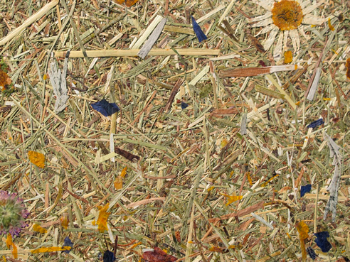 natural fibre organoid wall panel