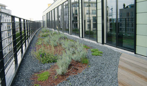 Green Wall Drainage System on Green Roofs 