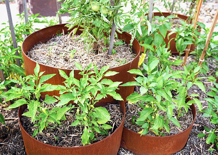 Three-tiered Steel Planter Boxes from FormBoss