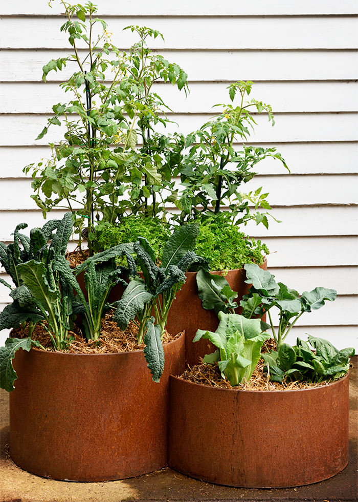 Three-tiered Steel Planter Boxes from FormBoss