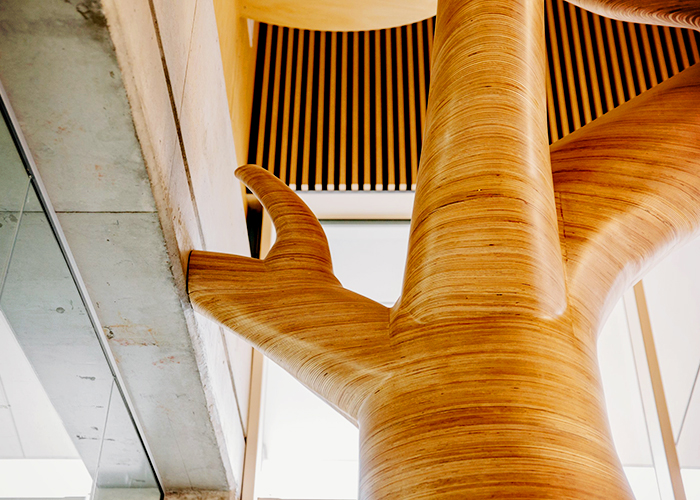 High-quality Clear Topcoat for Timber Sculptures from Mirotone