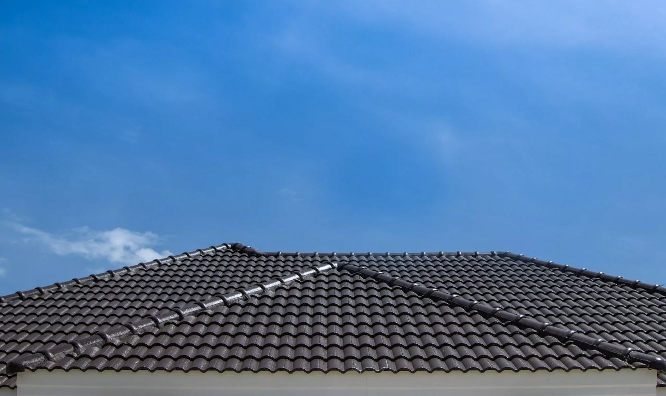 Professional Roof Painting Services Sydney by Duravex Roofing