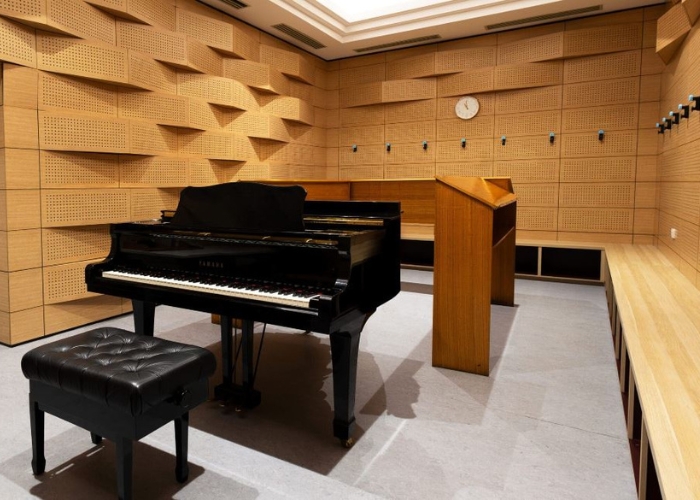 Custom Acoustic Features for College Music & Archives Area by Supawood